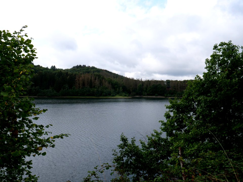 Urftsee in September 2019 25
