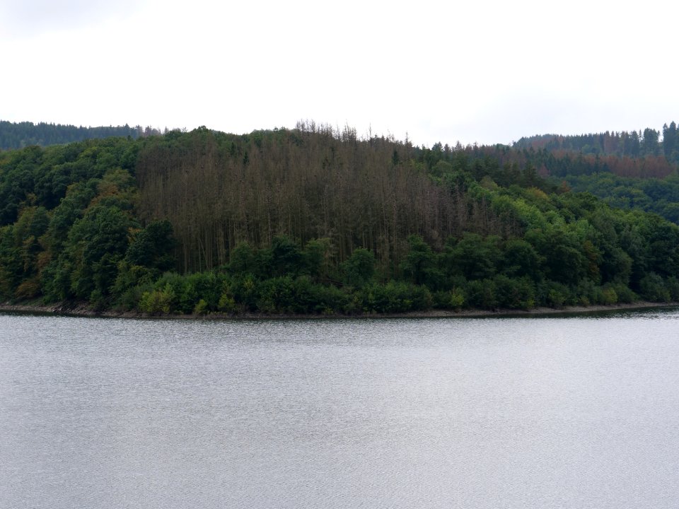Urftsee in September 2019 23