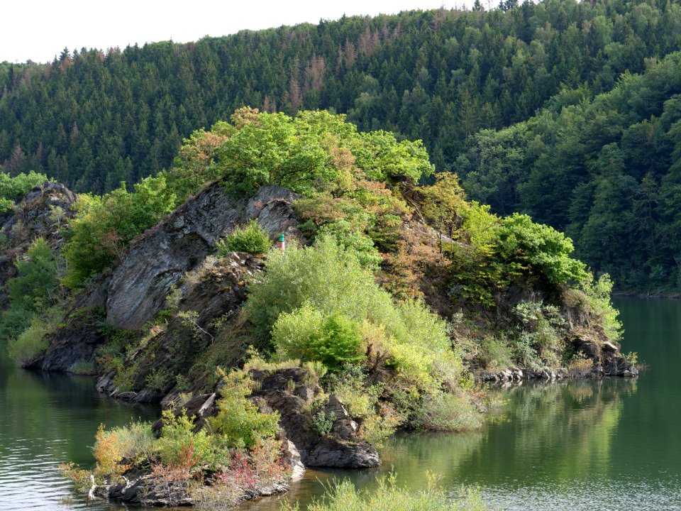 Urftsee from dam in September 2019 06