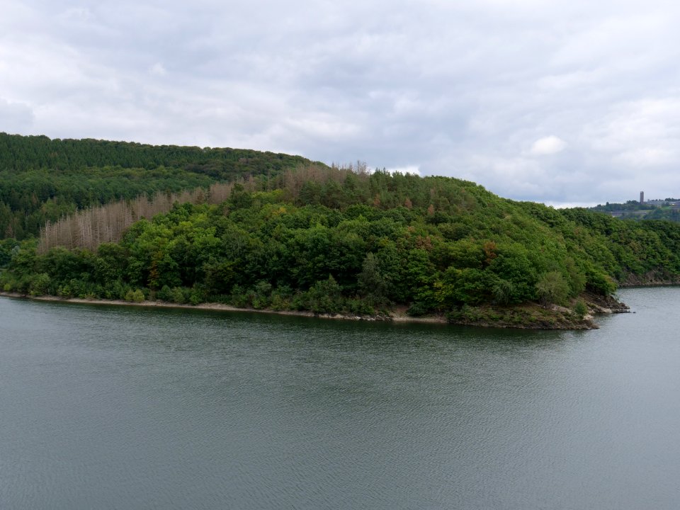 Urftsee from dam viewpoint north in September 2019 04