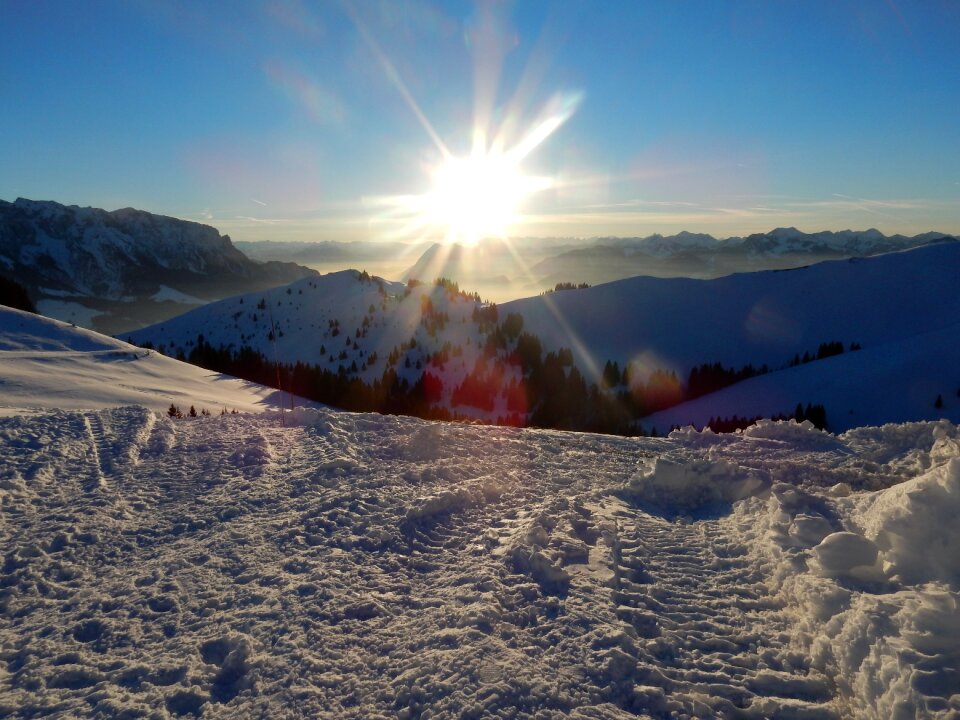 Snowy backlighting wintry
