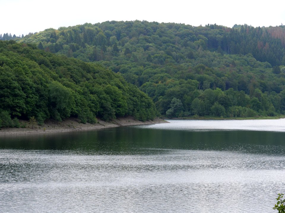 Urftsee in September 2019 35