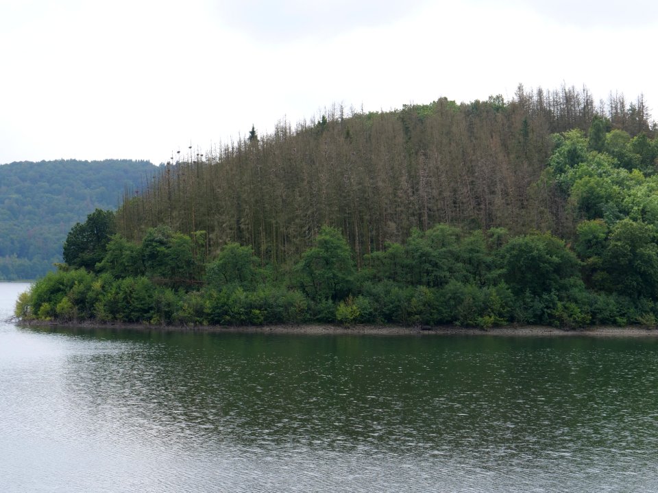 Urftsee in September 2019 06