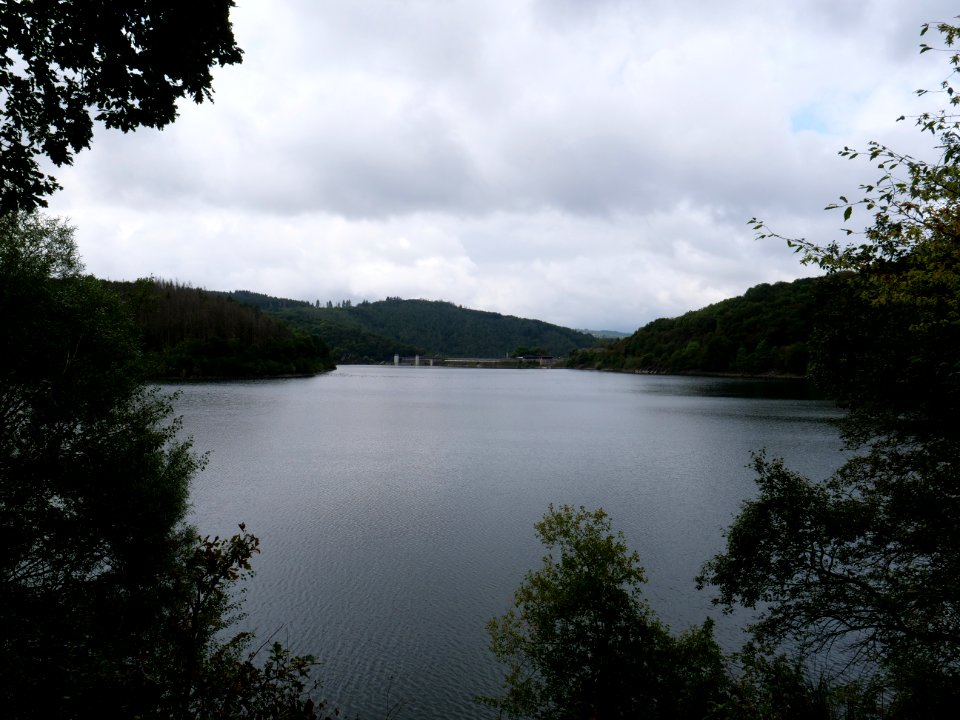 Urftsee in September 2019 24