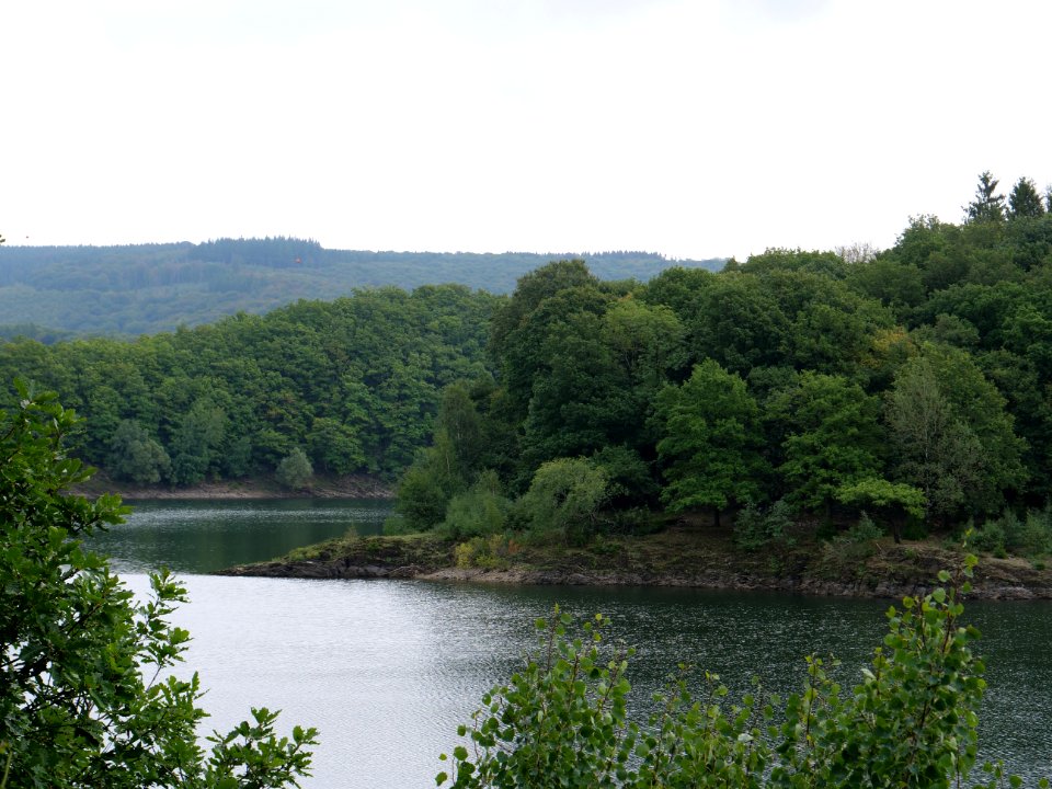 Urftsee in September 2019 29