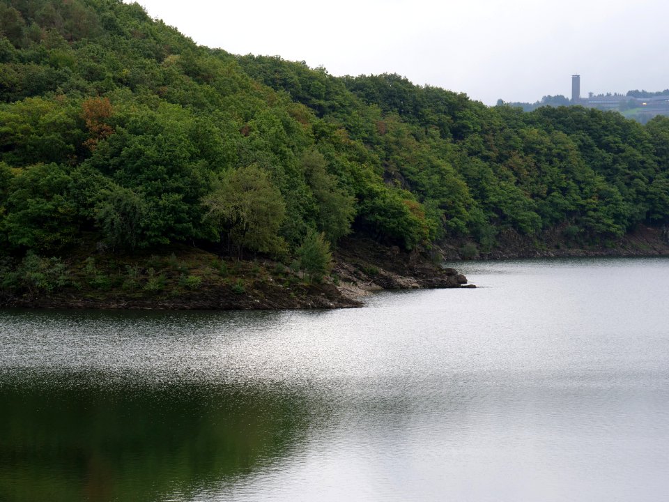 Urftsee in September 2019 03