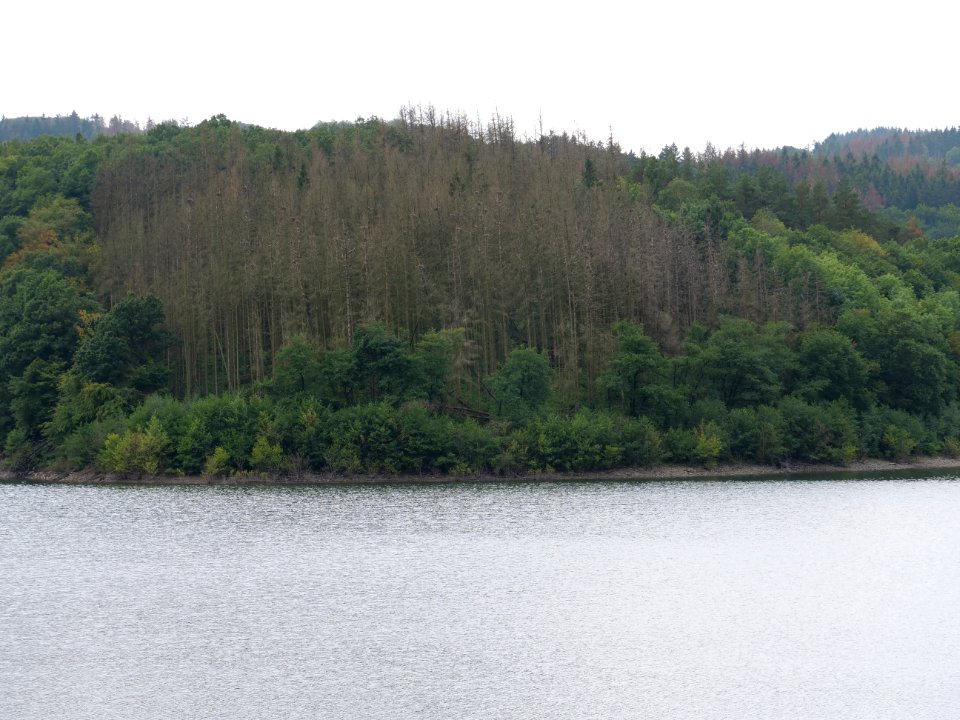 Urftsee in September 2019 22