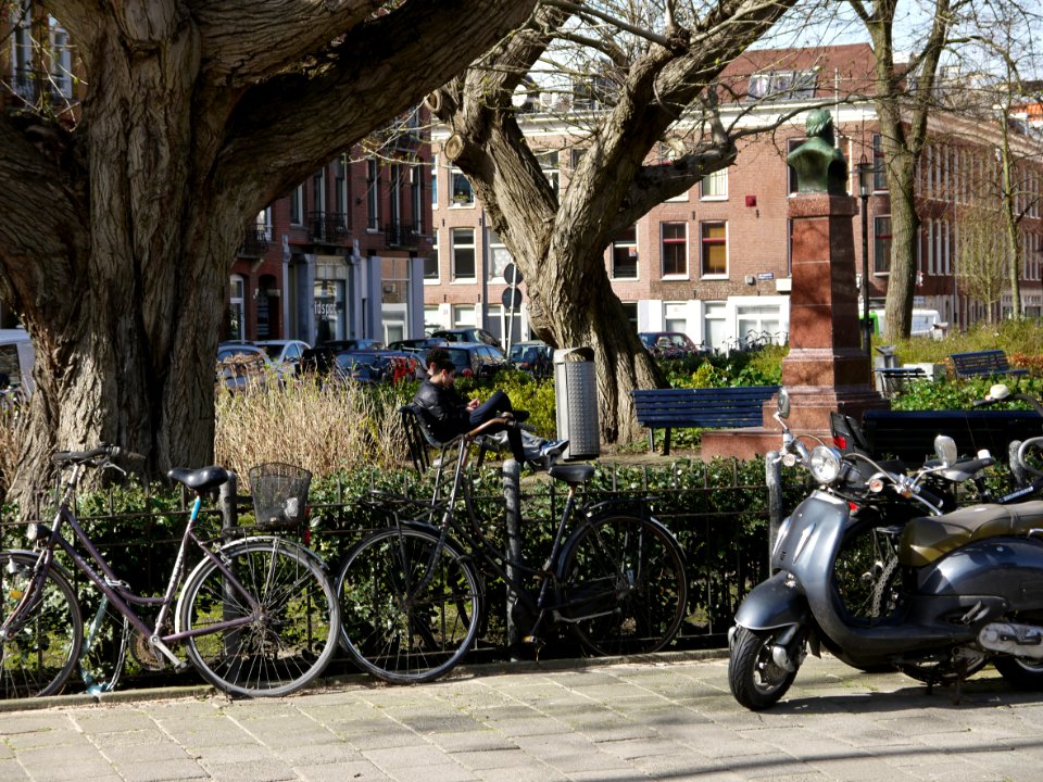 Urban nature at Bellamyplein, Amsterdam-W