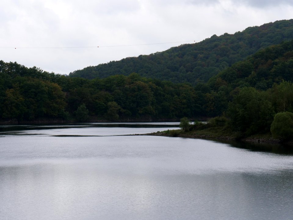 Urftsee in September 2019 52