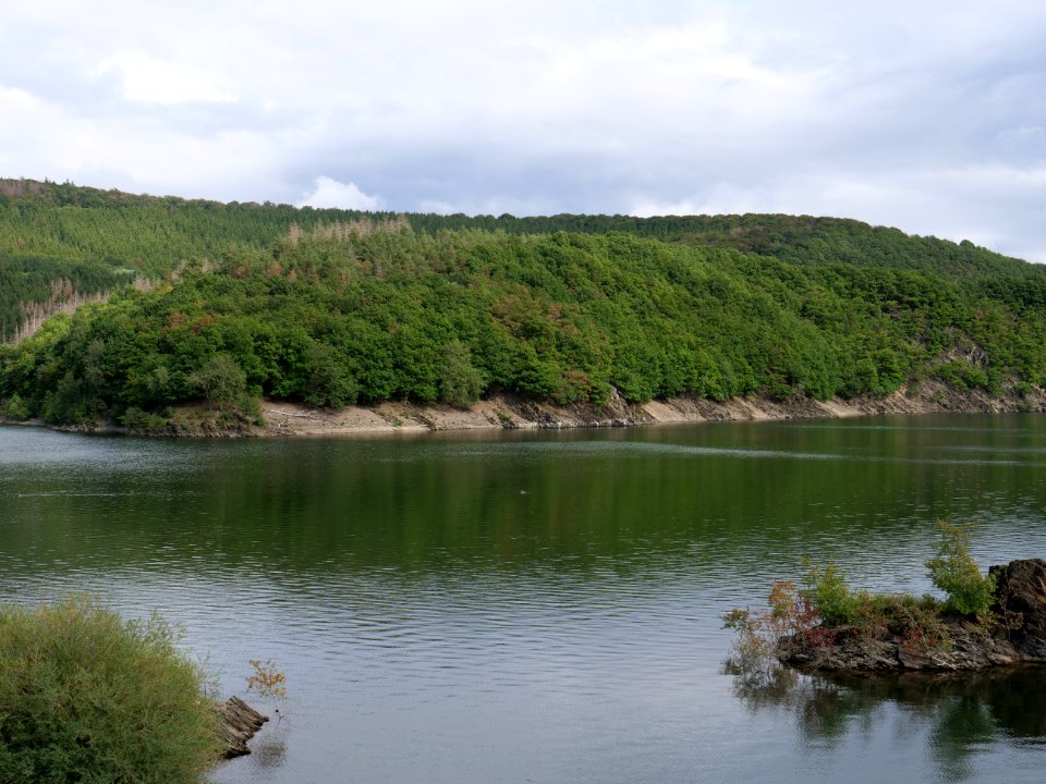 Urftsee from dam in September 2019 07