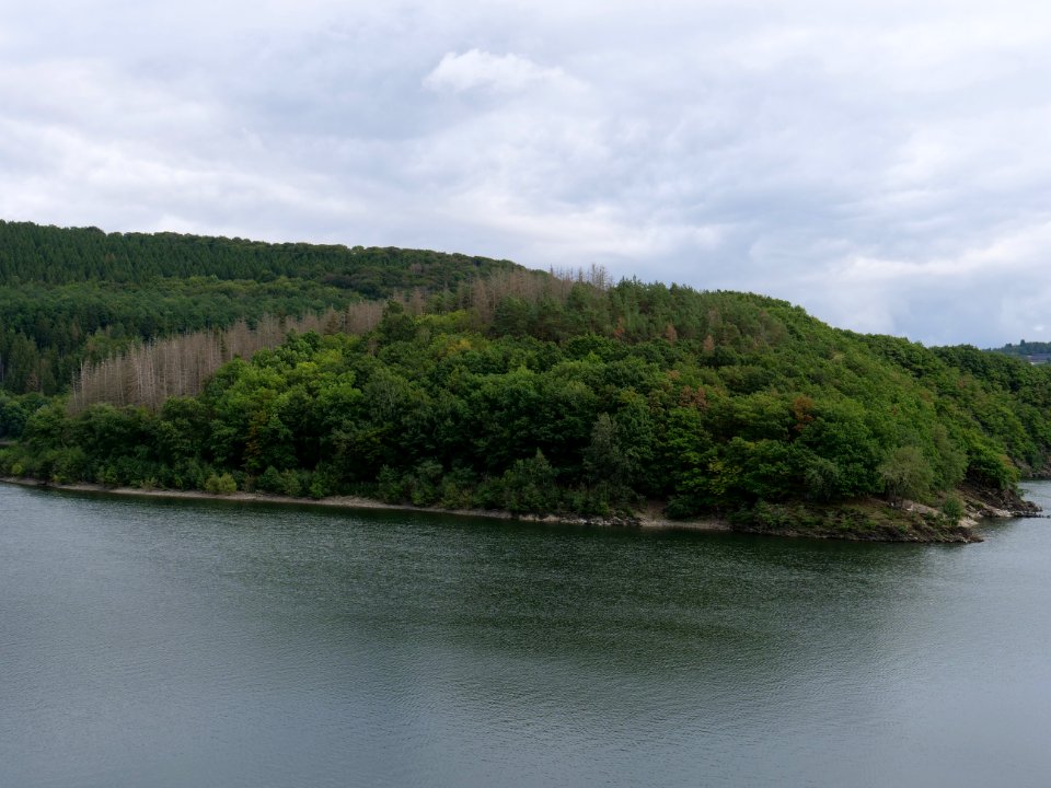 Urftsee from dam viewpoint north in September 2019 08