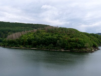Urftsee from dam viewpoint north in September 2019 08