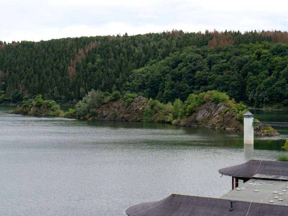 Urftsee from dam viewpoint north in September 2019 06