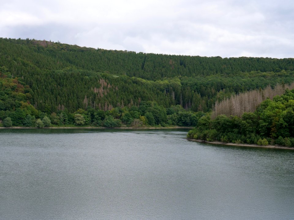 Urftsee from dam viewpoint north in September 2019 10