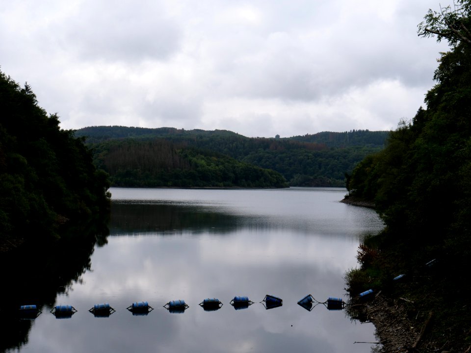 Urftsee in September 2019 20