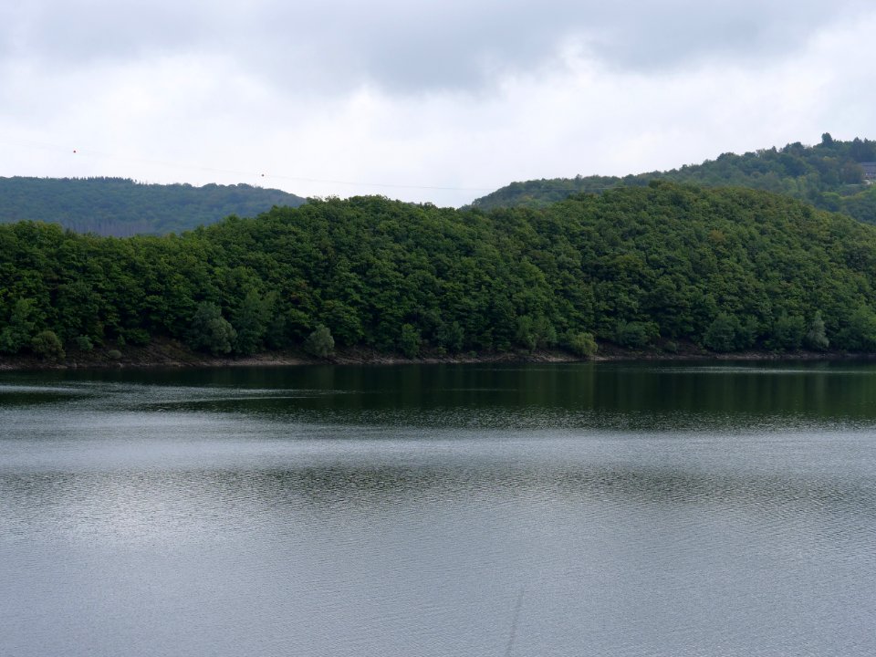 Urftsee in September 2019 34