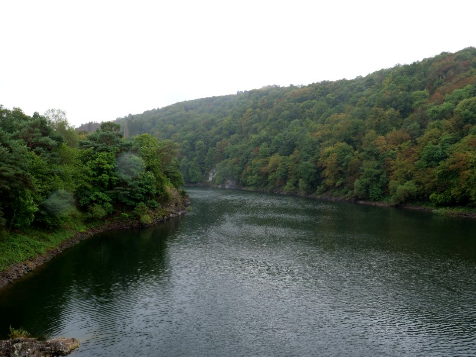 Urftsee in September 2019 53