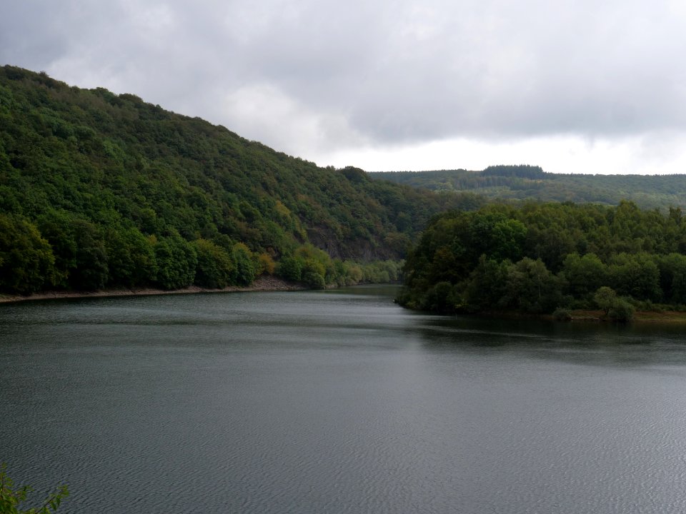Urftsee in September 2019 42