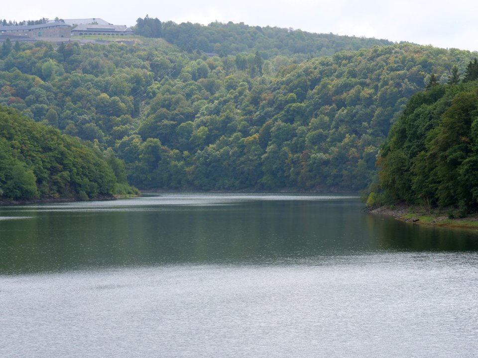 Urftsee in September 2019 36