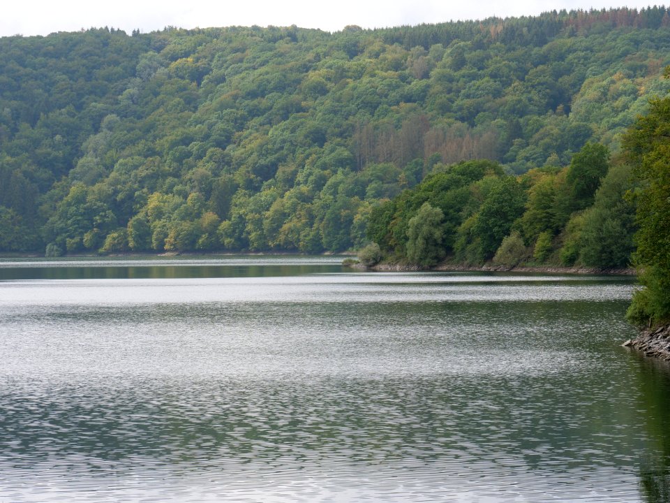 Urftsee in September 2019 39