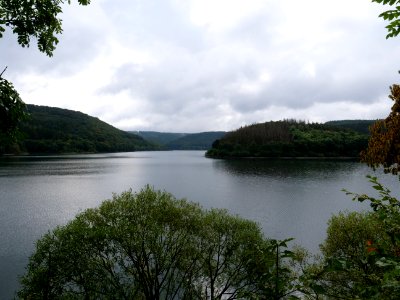 Urftsee in September 2019 05