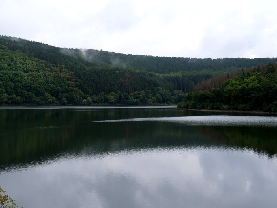 Urftsee in September 2019 01