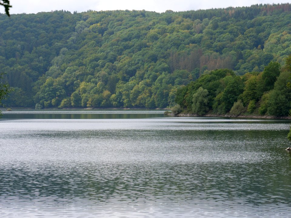 Urftsee in September 2019 40