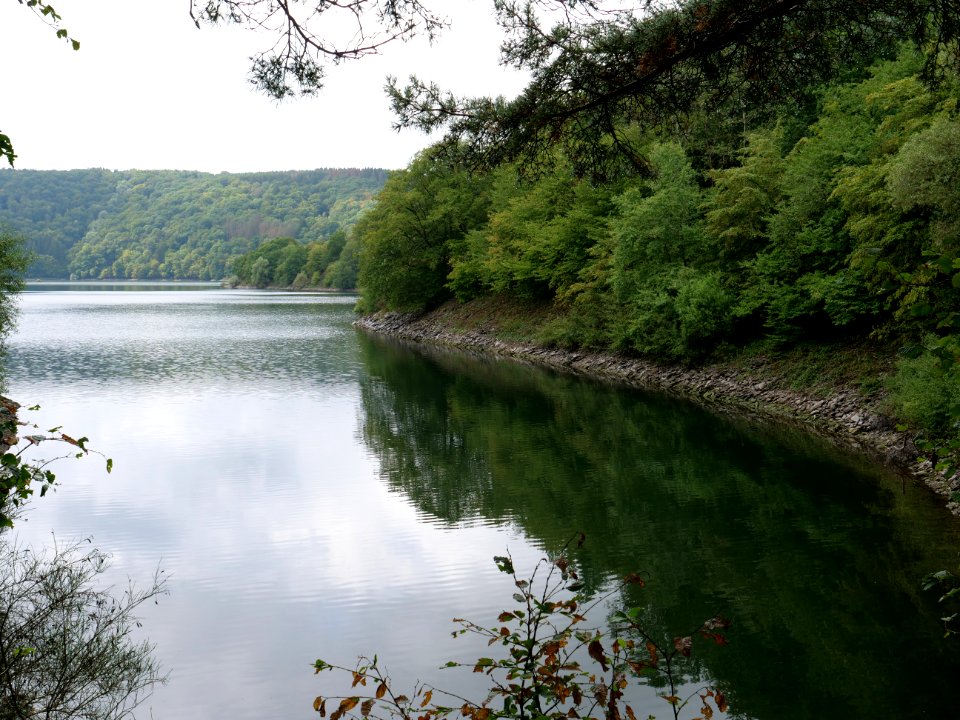 Urftsee in September 2019 41