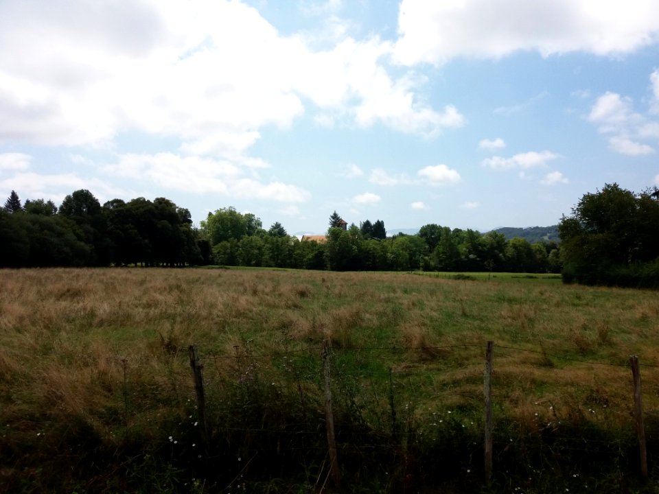 Tournay - Abbaye vue depuis le cimetière