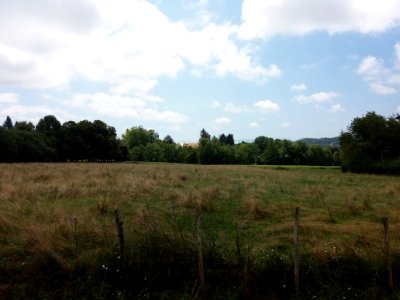 Tournay - Abbaye vue depuis le cimetière