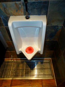Urinal with a drain below at a restaurant at National Harbor in Maryland photo