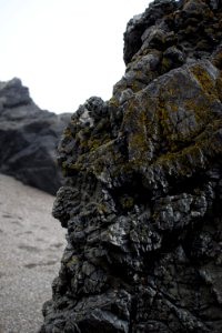 Views around Schoolhouse Beach in Sonoma County 16