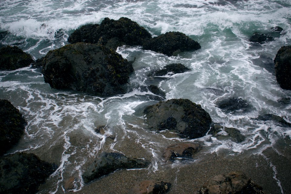 Views around Schoolhouse Beach in Sonoma County 18