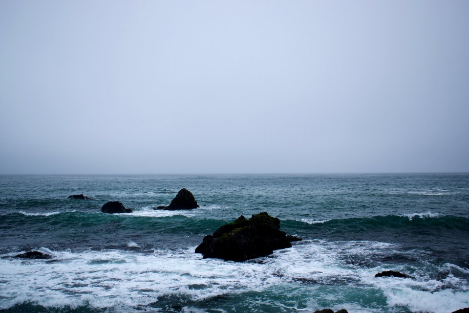 Views around Schoolhouse Beach in Sonoma County 20