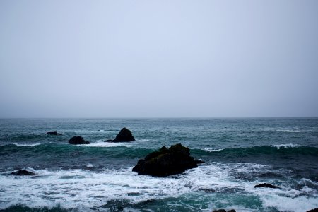Views around Schoolhouse Beach in Sonoma County 20