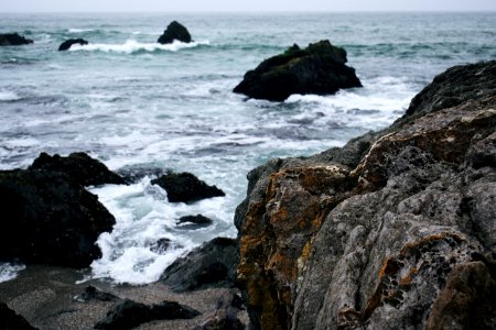 Views around Schoolhouse Beach in Sonoma County 17