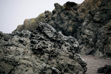 Views around Schoolhouse Beach in Sonoma County 23