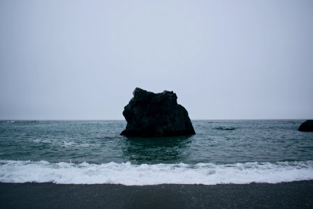 Views around Schoolhouse Beach in Sonoma County 07
