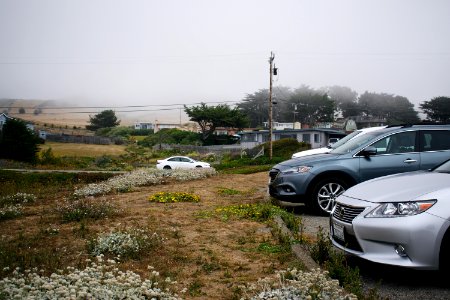 Views around Schoolhouse Beach in Sonoma County 28