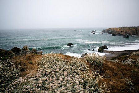 Views around Schoolhouse Beach in Sonoma County 01