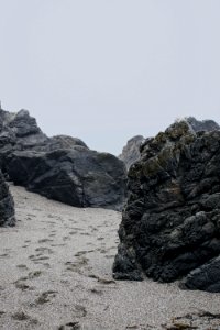 Views around Schoolhouse Beach in Sonoma County 26