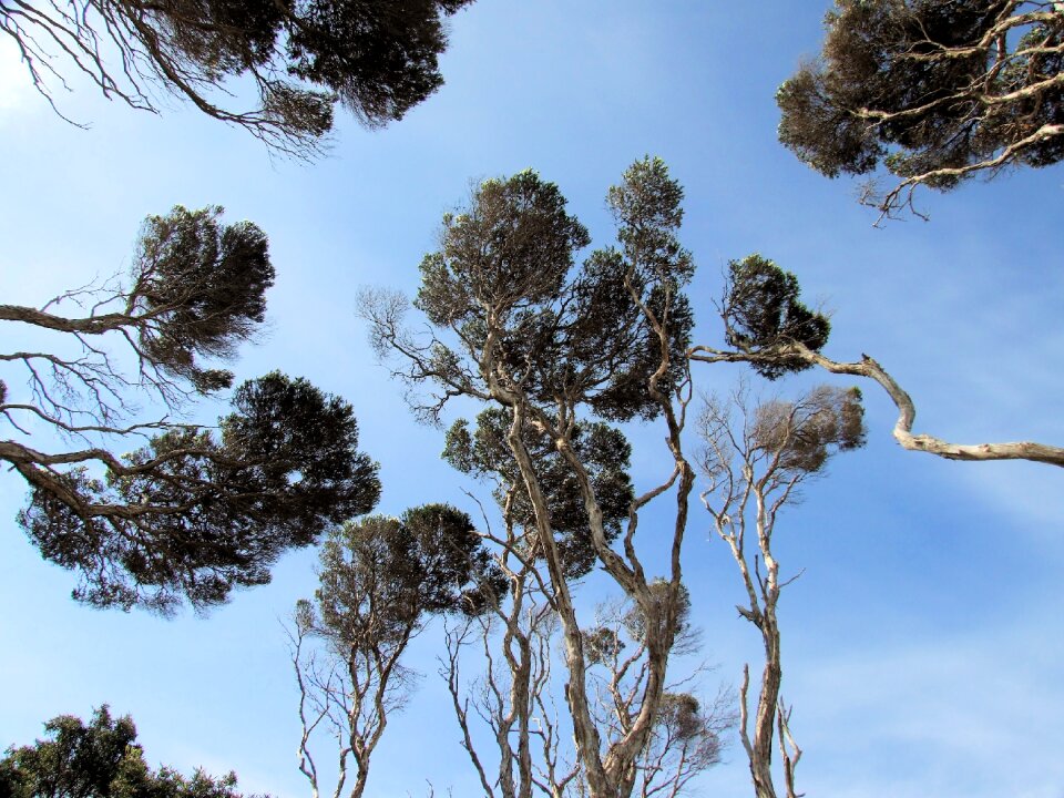 Landscape blue sky environment