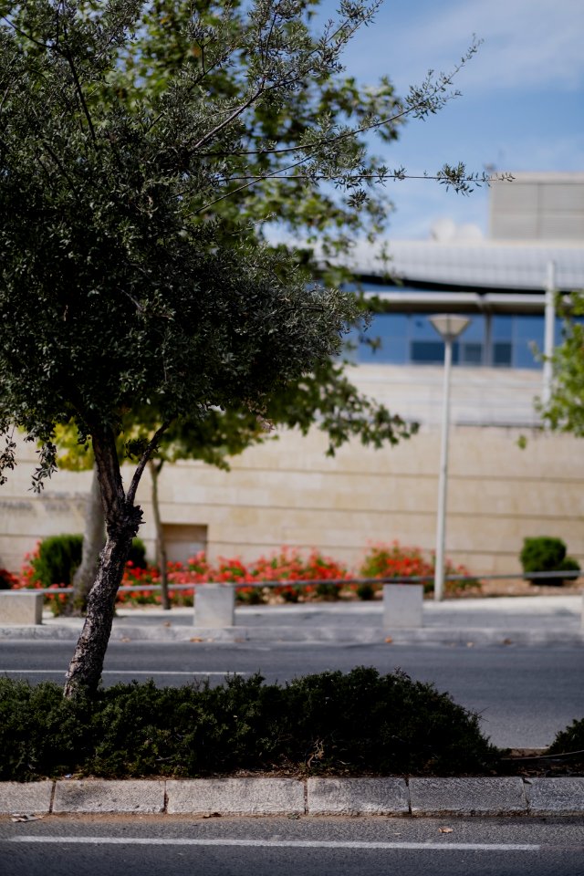 Views of a newly renovated neighborhood in Jerusalem near the Central Bus Station 28