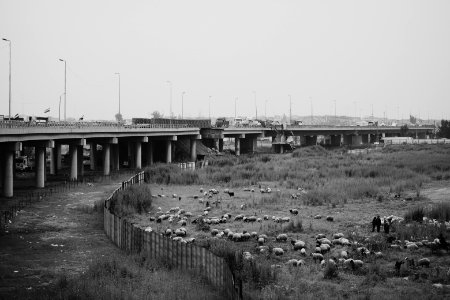 Views of a drive in April of 2019 through Mosul 09