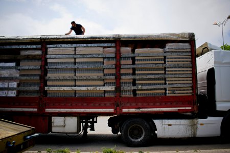Views of a truck unloading in Shaqlawa 003
