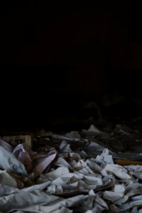 Views inside the ruined Rashid Bank in Shingal in May of 2019, destroyed during war with the Islamic State 04