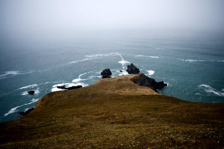 Views nearby Goat Rock Beach in Sonoma County 05