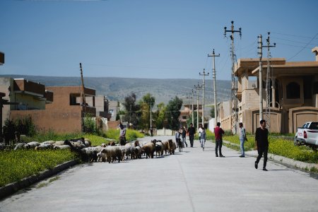 Views around the city center in April of 2019 in Shingal, especially destruction from the war with the Islamic State 06