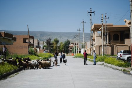 Views around the city center in April of 2019 in Shingal, especially destruction from the war with the Islamic State 07