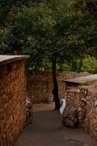 Views and details around Lalish, the holiest pilgrimage site for Ezidis 32
